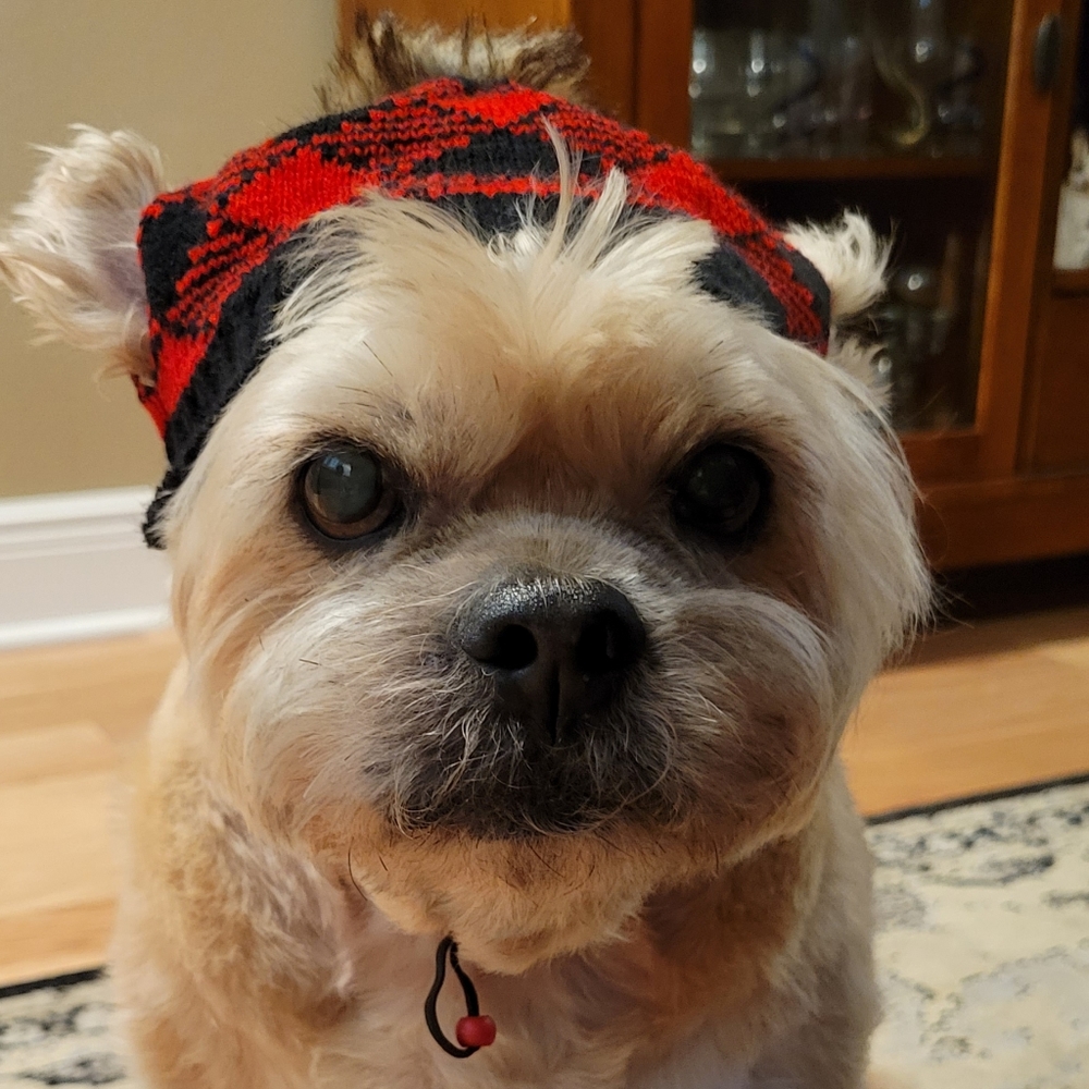 Red and Black Doggo Knit Beanie Hat